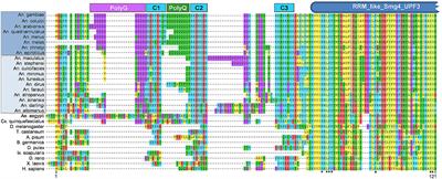 The Sporozoite's Journey Through the Mosquito: A Critical Examination of Host and Parasite Factors Required for Salivary Gland Invasion